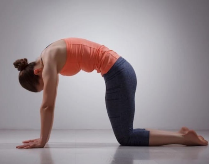 Mindful movement and wellness